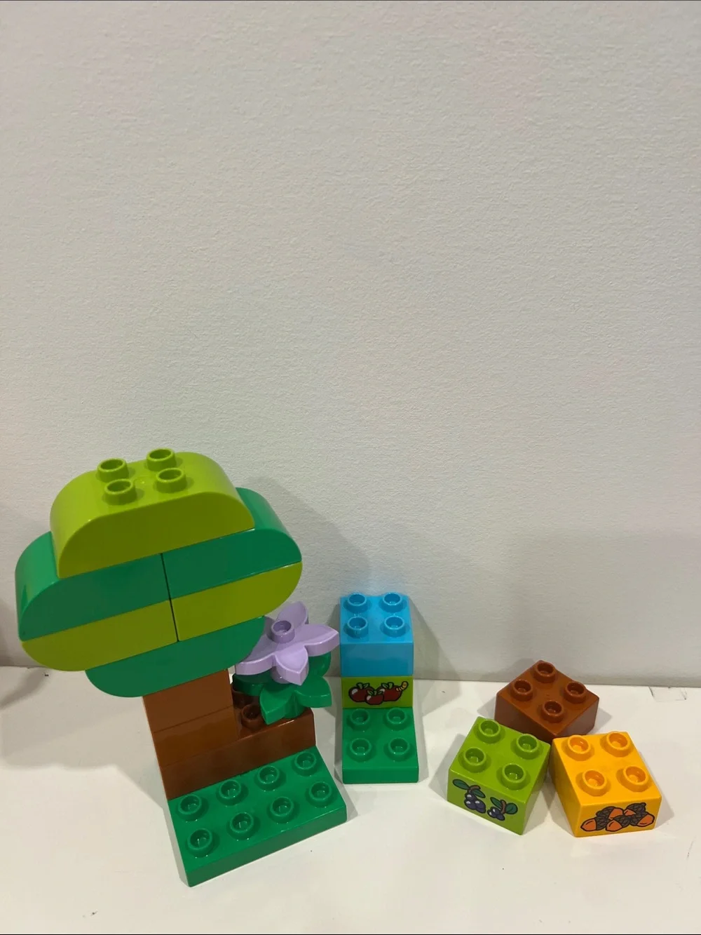 LEGO DUPLO Around the world - animals, forest, figures | 10805